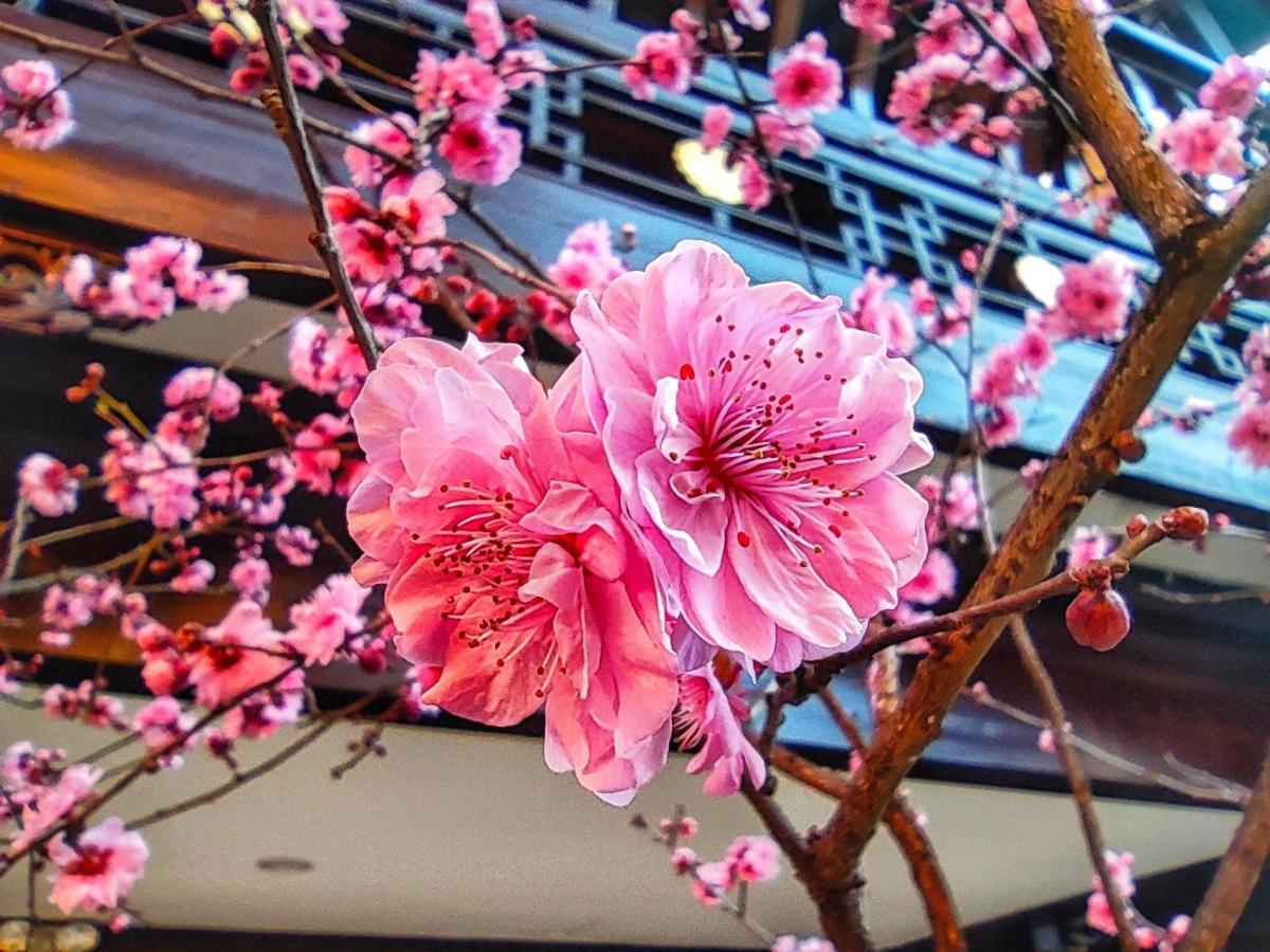 Doof Resort Hotel Lijiang  Luaran gambar